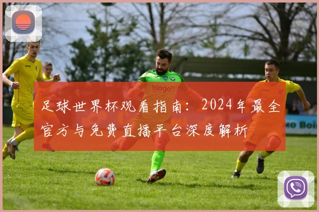 足球世界杯观看指南:2024年最全官方与免费直播平台深度解析