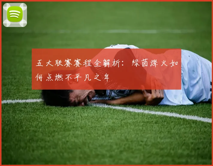 五大联赛赛程全解析：绿茵烽火如何点燃不平凡之年